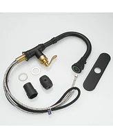 Single-Handle Pull-Down Sprayer 3 Spray High Arc Kitchen Faucet With Deck Plate Oil Gold&Black