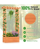 Raised Garden Bed with Side Trellis and Hanging Roof and Drainage Hole