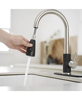 Greenspring Single-Handle Pull-Out Sprayer Kitchen Faucet with Supply Lines Matte Black and Brushed Nickel