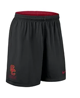 Nike Men's Cardinal/Black Usc Trojans 2025 Sideline Reversible Performance Shorts