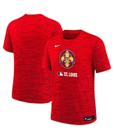 Nike Big Boys and Girls Red St. Louis Cardinals Authentic Collection City Connect Velocity Performance T-Shirt