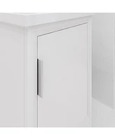 Elsa 20.5 in. W x 16 In. D Bath Vanity in Pure White with Ceramics Vanity Top in White with White Basin