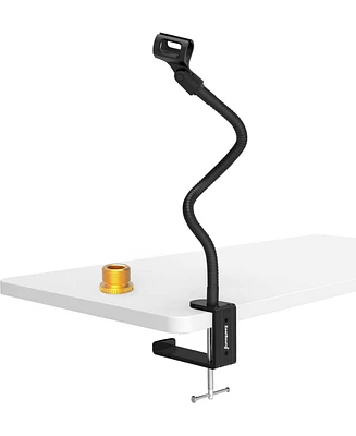ZealSound Flexible Gooseneck Mic Stand, Heavy Duty Desk Clamp, Adjustable Arm for Blue Snowball Ice Spark (Black)