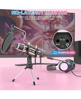 ZealSound Studio Condenser Microphone with Stand, Built-in Sound Card, Echo Recording for Phone, Pc, YouTube, Karaoke, Live Stream (Gold)