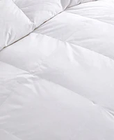 Nikki Chu 300-Thread Count Down Comforter