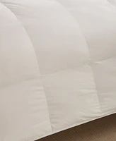 Nikki Chu 250-Thread Count Down Comforter, King - Soft Clay