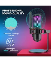ZealSound Gaming Usb Rgb Microphone Bkd-12a and 19inch gooseneck Flexible Microphone arm Stand H19