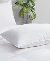 Avocado 100% Cotton Cover Down Pillow