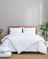 Avocado 100% Cotton Cover Down Pillow, Standard