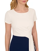 Adrianna Papell Women's Colorblocked Draped Sheath Dress