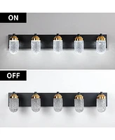 Flynama Vanity Lights With Led Bulbs For Bathroom Lighting