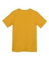 Nike Preschool Gold Pittsburgh Steelers Icon Legend T-Shirt