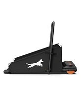Streamdale Furniture Dog Treadmill - Small & Medium Dogs - Run & Walk