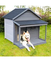 Large Balcony Dog House with Terrace