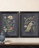 Uttermost Wall Art, Midnight Botanicals