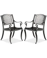 Orven Set of 2 Cast Aluminun Outdoor Chairs