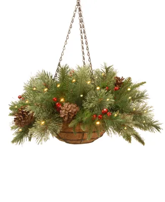 National Tree Company 20" Feel Real Colonial Hanging Basket with Pine Cones, Berries & 50 Battery-Operated Led Lights With Timer