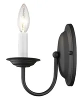 Livex Home Basics Wall Sconce