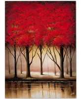 Rio 'Serenade in Red' Canvas Art