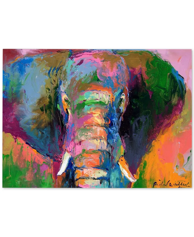 Richard Wallich 'Elephant 2' Canvas Art