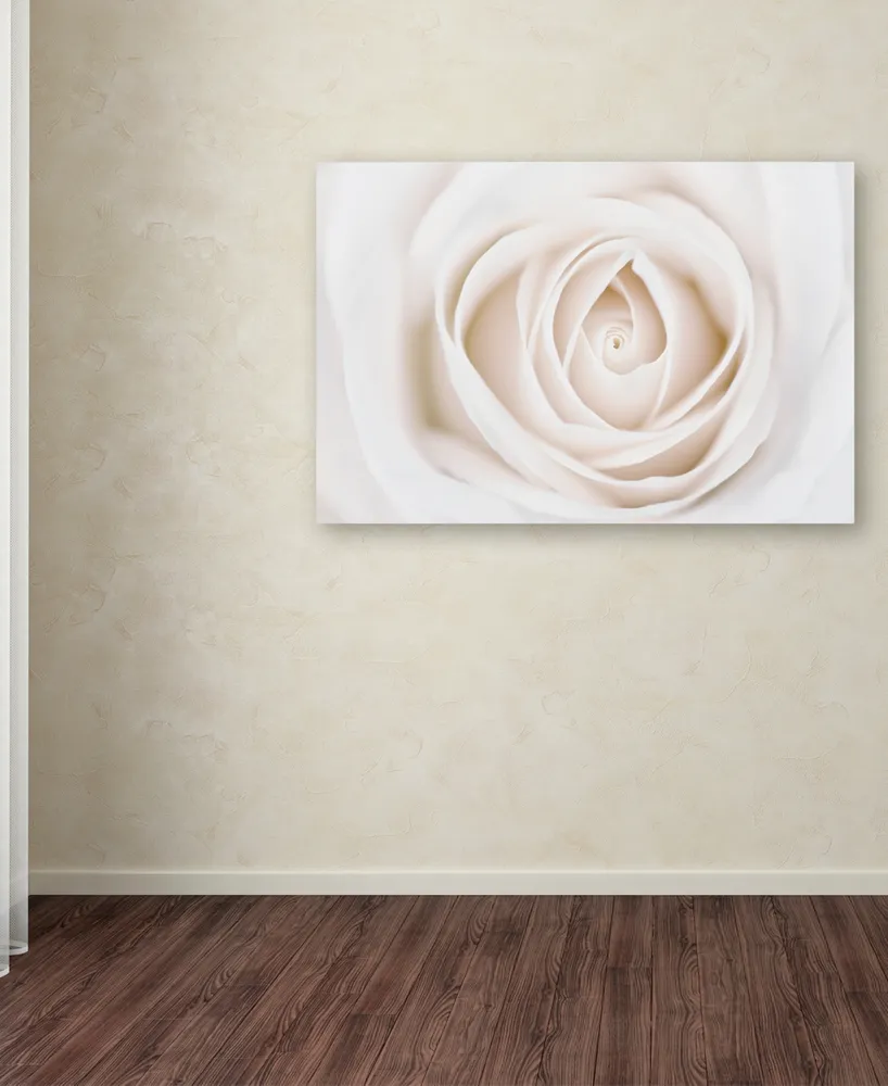Cora Niele 'White Rose' Canvas Art
