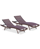 Jordan Outdoor Chaise Lounge (Set Of 2)