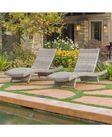 Trevor Outdoor Chaise Lounge (Set Of