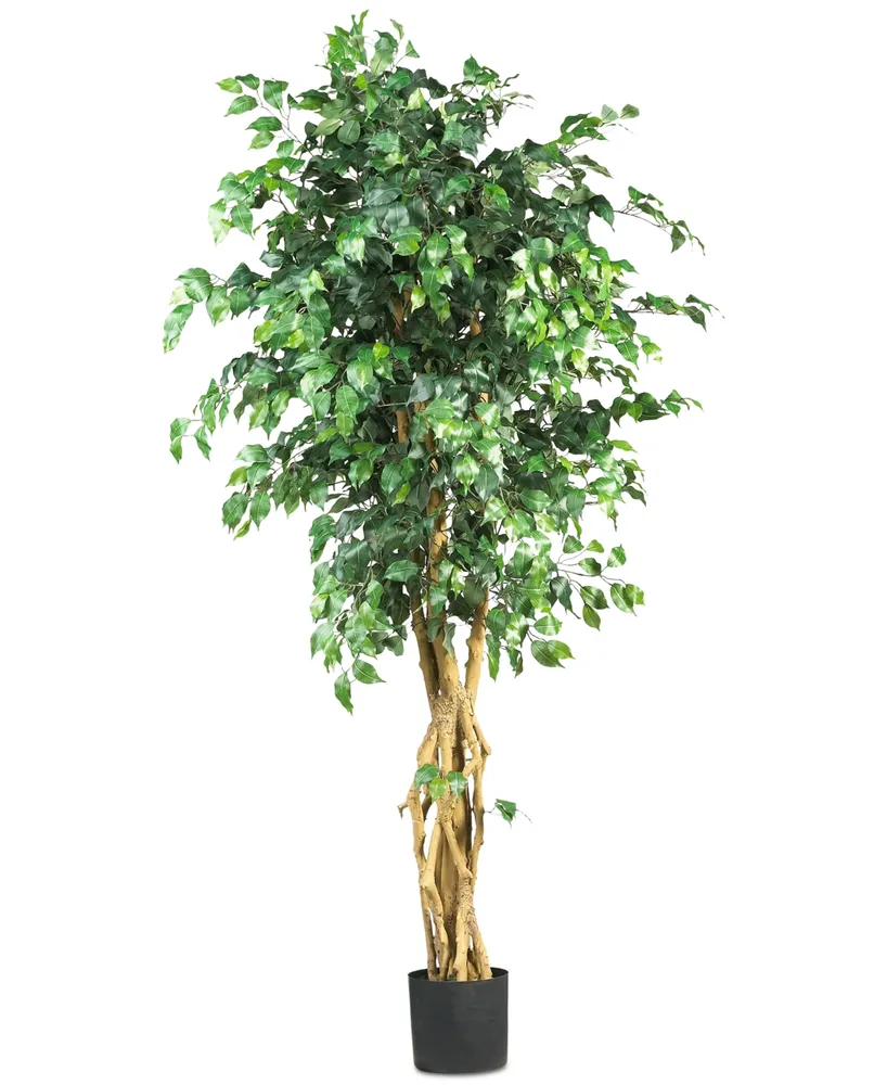 5' Ficus Artificial Topiary Tree; UV Resistant (Indoor/Outdoor), Color:  Green - JCPenney