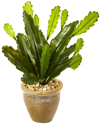 Nearly Natural Cactus Artificial Plant in Glazed Clay Pot