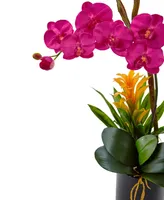 Nearly Natural Orchid & Bromeliad Artificial Arrangement in Glossy Black Cylinder Vase