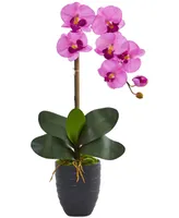 Nearly Natural Phalaenopsis Orchid Artificial Arrangement in Black Vase