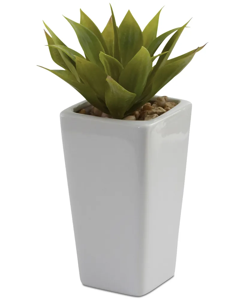 Nearly Natural 3-Pc. Mini Agave Artificial Plant Set in White Planters
