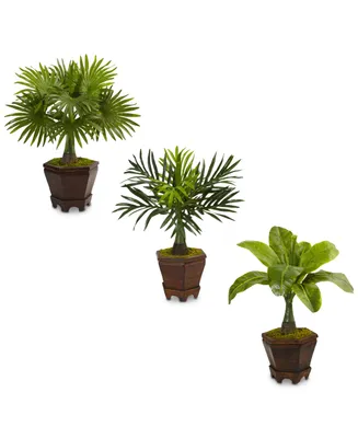 Nearly Natural 3-Pc. 16.5" Assorted Mini Palm Artificial Tree Set in Planters