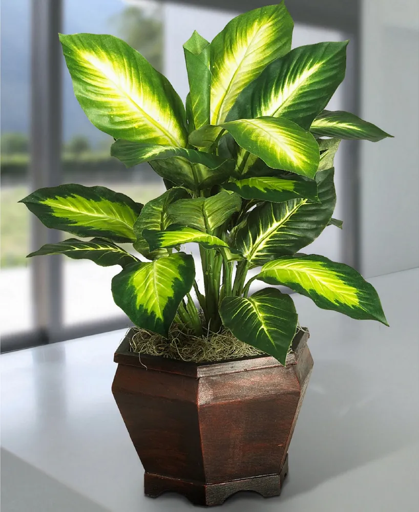 Nearly Natural Golden Dieffenbachia Artificial Plant in Wood Planter