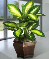 Nearly Natural Golden Dieffenbachia Artificial Plant in Wood Planter