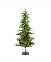 Vickerman 7' Shawnee Fir Artificial Christmas Tree with 350 Warm White Led Lights