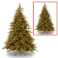 National Tree 6' "Feel Real" Frasier Grande Hinged Tree with 800 Dual Led Lights