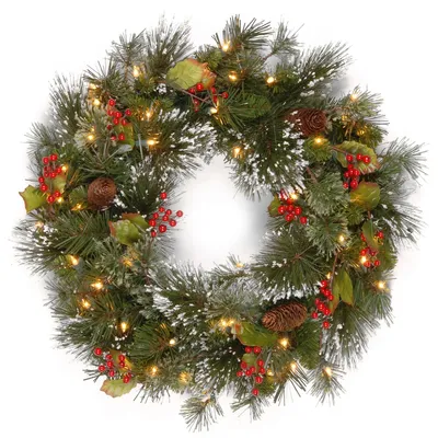 National Tree Company 24" Wintry Pine Wreath with Cones, Red Berries, Snowflakes with 50 Battery-Operated Soft White Led Lights