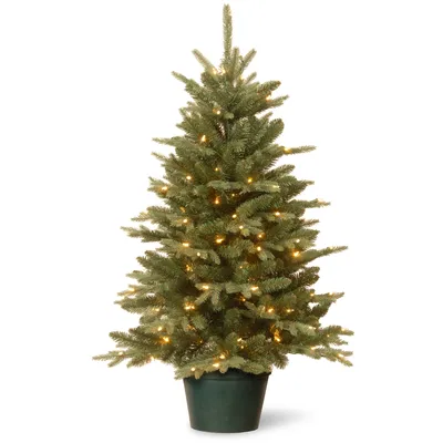 National Tree Company 3' Everyday Collections Small Tree in Green Pot with 100 Clear Lights