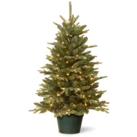 National Tree Company 3' Everyday Collections Small Tree in Green Pot with 100 Clear Lights
