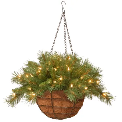 National Tree 20" Tiffany Fir Hanging Basket with Battery Operated Warm White Led Lights