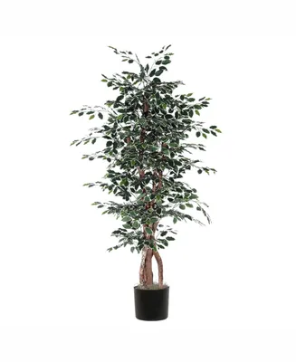 Vickerman 6' Artificial Variegated Ficus Executive