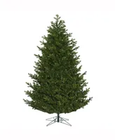 7.5' X 60" Eagle Frasier Full Artificial Christmas Tree Features 3357 Pe/Pvc Tips