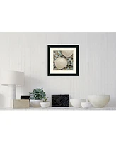 Amanti Art Aquatic 2 Framed Art Print