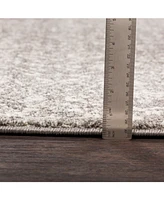 Livabliss Harput Hap-1029 Gray 2' x 3' Area Rug