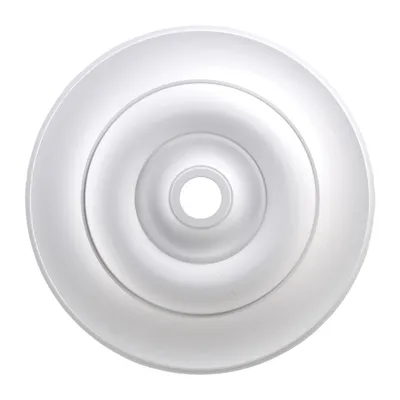 Apollo Medallion 32" In White Finish