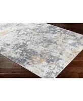 Livabliss Aisha Ais-2303 Charcoal 9'3" x 12'3" Area Rug