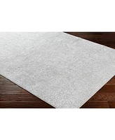 Livabliss Aisha Ais-2306 Light Gray 9'3" x 12'3" Area Rug