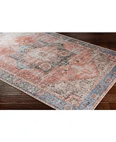 Livabliss Amelie Aml-2309 Rose Machine-Washable 2' x 3' Area Rug