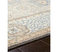 Surya Cambridge Cmb-8014 Aqua 2' x 3' Area Rug